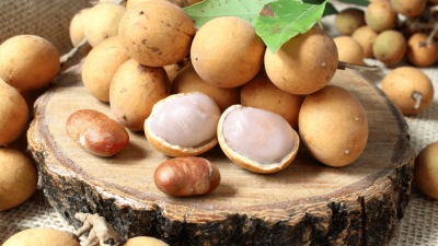 Banco de Imagens / Canva