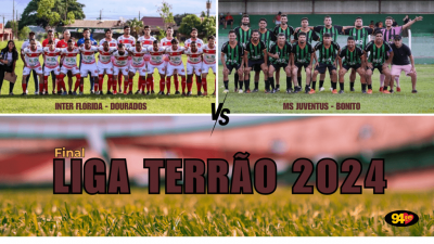 Montagem: Mariana Rocha