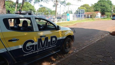 Divulgação