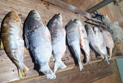 O autor confessou que havia capturado os peixes com os petrechos ilegais encontrados.