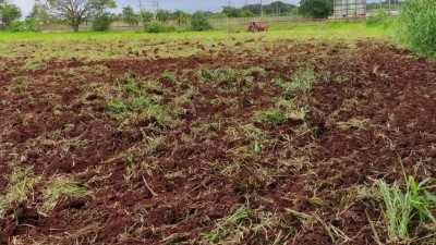 Agricultores já podem aderir ao “Desenrola Rural” com desconto de até 96% na dívida