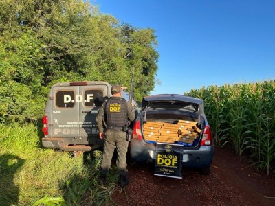 Carro foi encontrado abandonado próxima a uma plantação de milho; Fotos: Divulgação/DOF