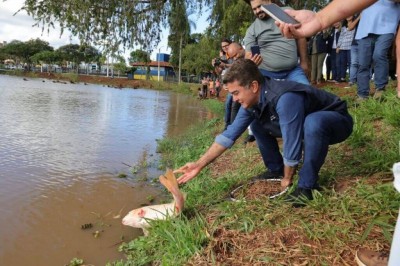 Foram soltos no lago peixes das espécies pacu, tambacu e patinga – Fotos: A. Frota