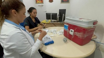 Somente na semana epidemiológica 14 de 2025 foram notificados 246 casos