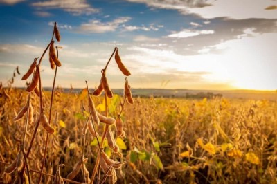 Em Mato Grosso do Sul, somando pessoas físicas e jurídicas, foram 92 pedidos ao longo do ano passado.