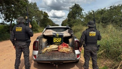Foto: Divulgação/DOF
