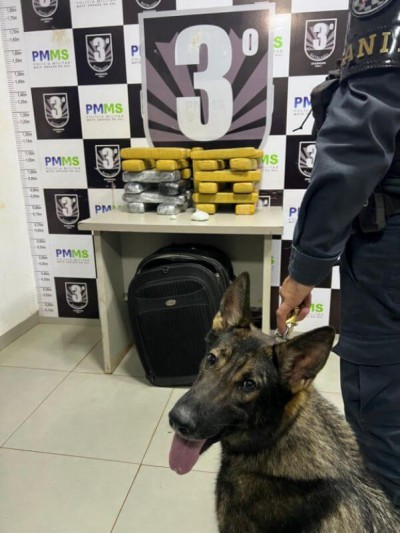 Divulgação
