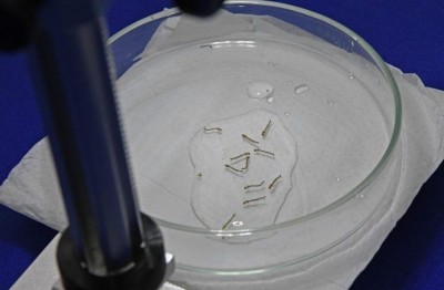 Foto: Bruno Rezende/Agência MS