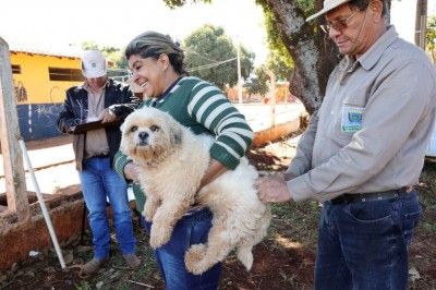 Recomendação é vacinar cães e gatos a partir de três meses de idade contra a raiva. Foto: A. Frota