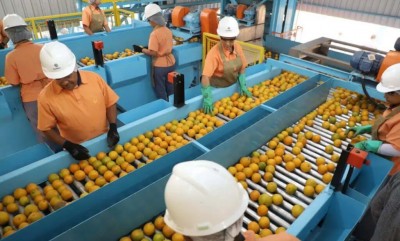 Foto: Ari Dias/Governo do Paraná