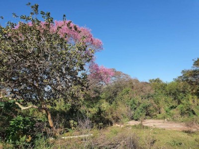 Foto: Divulgação/Assecom