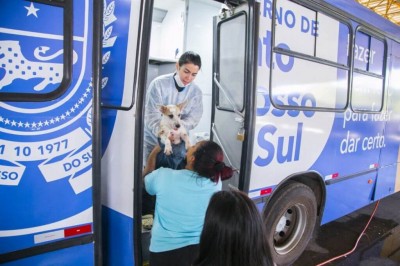 Caravana da Castração chegará em Dourados em novembro para castrar 1.500 cães e gatos. Divulgação/Assecom
