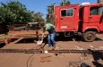 Foto: A. Frota