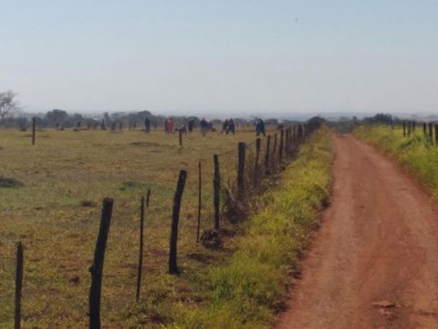 Sítios rodeados pela Perimetral Norte foram invadidos recentemente e houve confronto (Foto: Adilson Domingos)