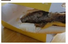 Empresa pagará R$ 10 mil a cliente que encontrou barata em sanduíche (Foto: reprodução/iG)