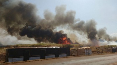 Fogo atingiu canavial em agosto deste ano e mobilizou Corpo de Bombeiros para conter as chamas (Foto: Sidnei Bronka/Arquivo94FM)