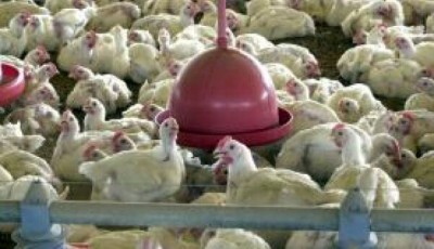 Ambos países têm um prazo de 60 dias para recorrer da decisão --- Arquivo/Agência Brasil