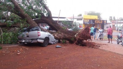 Veículo atingido por árvore ficou completamente destruído em Dourados (Foto: 94FM)