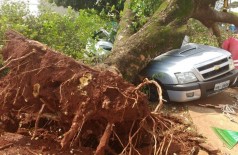 Árvore caiu em cima de Blazer, na Vila Almeida, durante o vendaval de ontem (19) ---  (Foto: Divulgação/Corpo de Bombeiros de Dourados)
