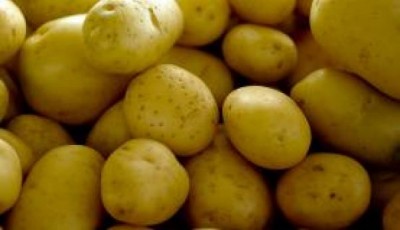 A batata teve aumento de mais de 90% nos estados de Goiás e do Paraná --- Arquivo/Agência Brasil