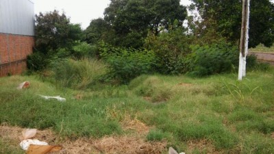 Terrenos baldios localizados no perímetro urbano de Dourados, incluindo todos os bairros existentes