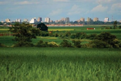 Possível retrocesso na preservação ambiental em Dourados motivou recomendação do MPE (Foto: Eliel Oliveira)