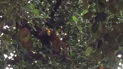 Fotos: Adilson Domingos