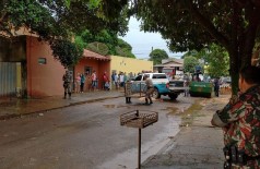 Onça parda foi flagrada por morador em árvore na Rua Santos Dumont, na Vila Rosa (Fotos: Adilson Domingos)