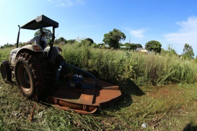 Denúncias podem ser informadas no 3424-8516 (Foto: reprodução)