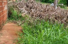A douradense diz  que o terreno virou lixão e que já encontrou até cobras no local (Foto: divulgação/94FM)