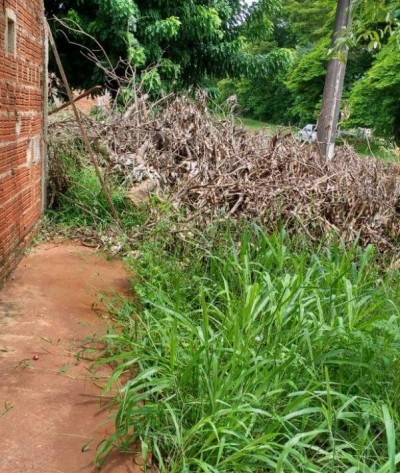 A douradense diz  que o terreno virou lixão e que já encontrou até cobras no local (Foto: divulgação/94FM)
