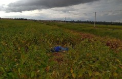 Corpo foi encontrado em plantação de soja em Dourados (Foto: Adilson Domingos)
