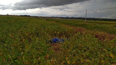 Corpo foi encontrado em plantação de soja em Dourados (Foto: Adilson Domingos)