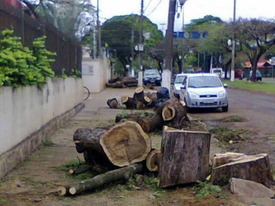 Douradenses autorizados a cortar árvores em 2016 deve regularizar compensação ambiental (Foto: Arquivo/94FM)