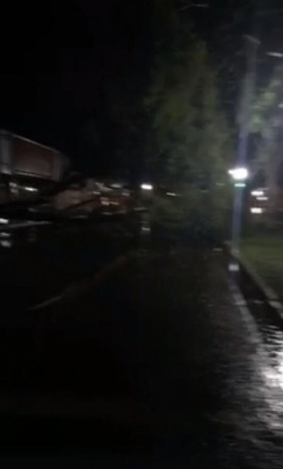 Árvore e poste caíram no meio da Avenida Marcelino Pires nesta madrugada (Foto: Reprodução)