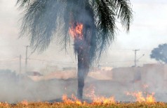 Agosto a outubro são os meses mais críticos para incêndios florestais em Mato Grosso do Sul (Foto: Chico Ribeiro)