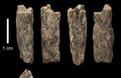 Ossos são de menina filha de mãe neandertal e pai denisovan (Foto: T. Higham/Universidade de Oxford)