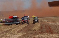 IBGE estima em 225,8 milhões de toneladas a safra de cereais, leguminosas e oleaginosas deste ano    (Arquivo/Agência Brasil)