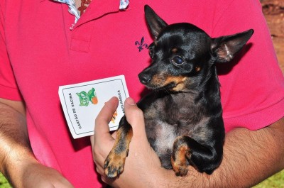 A vacina é gratuita e não será permitida a sua distribuição para levar para casa - Foto: A. Frota