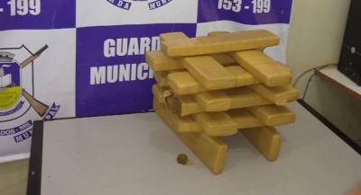 Foto: Divulgação GM