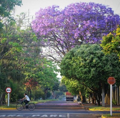 Primavera começou com calorão em Dourados (Foto: Franz Mendes/ReproduçãoFacebook)