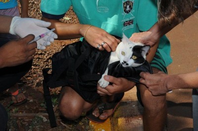 Não será permitido levar a vacina para casa - Foto: divulgação/CCZ