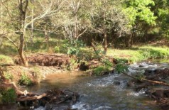 Águas do Córrego Laranja Doce devem passar por análise, segundo determinação do MPE (Foto: Reprodução)