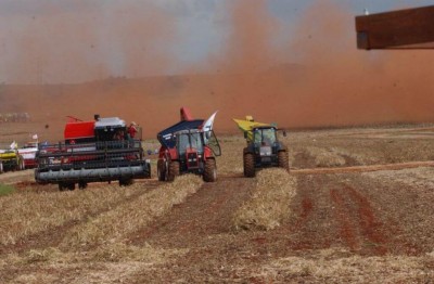 Safra de 2019 deve ser 0,2% menor que a 2018, que pode ter queda de 5,6% em relação a 2017 (Arquivo/Agência Brasil)
