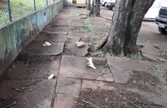 calçada dificulta locomoção de pedestres no Jardim Água Boa (Foto: divulgação/94FM)