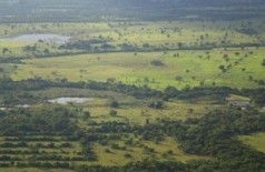 Propriedade rural em Mato Grosso do Sul (Foto: Arquivo/Campo Grande News)
