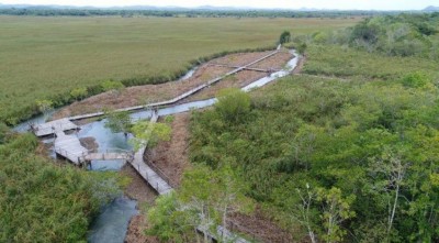 PMA autua infrator em R$ 10 mil por desmatamento ilegal de matas ciliares e em várzea do rio Formoso em Bonito