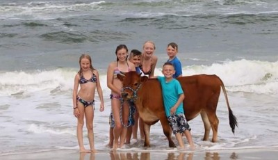 Foto: @finns.finnstagram