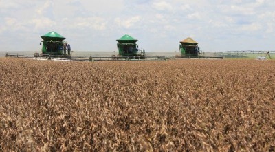 MS tem 12 cidades entre os maiores produtores do agronegócio brasileiro (Foto: reprodução)