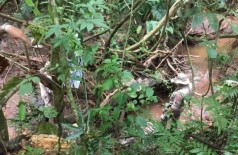 Cadáver estava preso entre os arbustos levados pela correnteza do rio. (Foto: Porã News)
